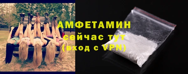 молекула духа Костерёво