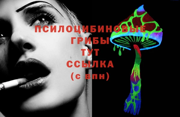 эйфоретик Красноперекопск