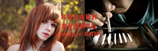 молекула духа Костерёво