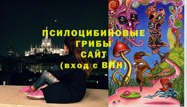 молекула духа Костерёво