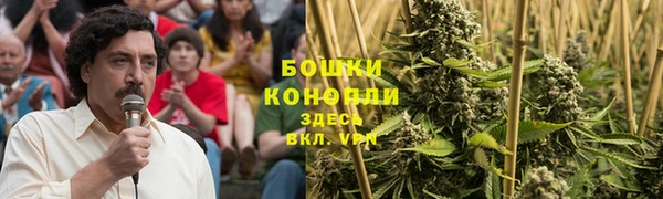 прущая мука Корсаков
