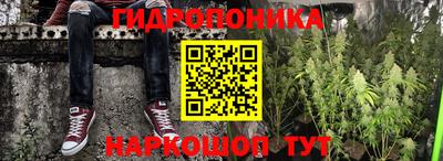 a pvp Заводоуковск