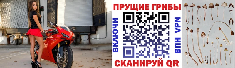 маркетплейс состав как найти Курганинск Галлюциногенные грибы ЛСД