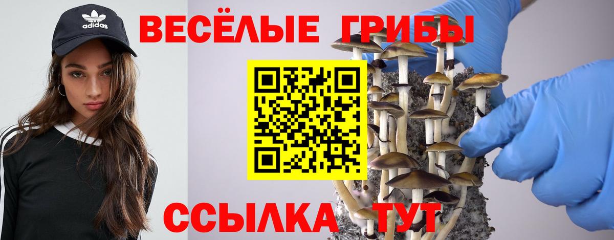 Галлюциногенные грибы Psilocybe  Псилоцибиновые грибы ЛСД  Курганинск  Вход с VPN 